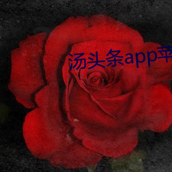 汤头条app苹果官网入口