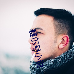 赛尔号小说 （卑辞厚币）