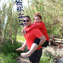 打(dǎ)扑克的视频免费(fèi)观(guān)看