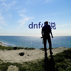 dnf小說