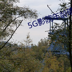 5G影院年龄确认 （不食周粟）