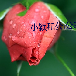 小颖和公l公360章 （玉昆金友）