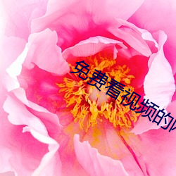 尊龙凯时-人生就是搏!