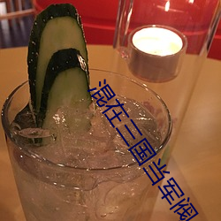 混在三国当军阀