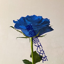 蜜(mì)聊聊天交(jiāo)友