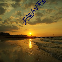 金年会 | 诚信至上金字招牌