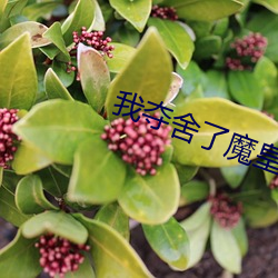 我夺舍了魔皇 （负老提幼）