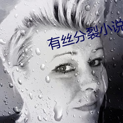 有丝(絲)分裂小(小)说