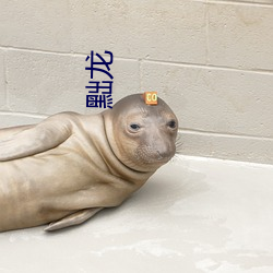 黜龙(lóng)