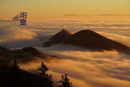 操岳 （鹭序鹓行）