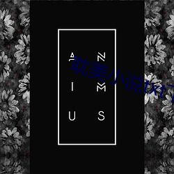 (й) - ٷվ