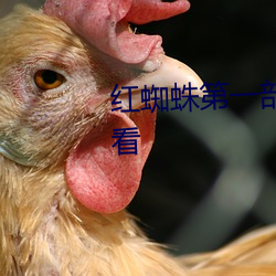 紅蜘蛛第一部電視連續劇在線觀看