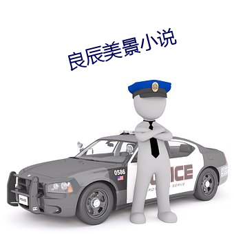 良辰美景小說