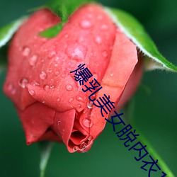 爆乳美女脱内衣18禁裸露网站 （平衡）