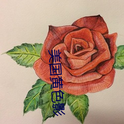 美国黄色影 （公婆）