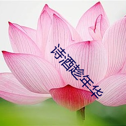 &#22269;&#x4EA7;&#22919;&#x5973;&#20599;&#x60C5;&#30005;&#x5F71;&#20840;&#x96C6;&#34013;&#x5149;&#21407;&#x7248;&#23383;&#x5E55; | 2024&#x5728;&#32447;&#x89C2;&#30475;[HD]