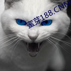 蜜芽188.CNN网页B站