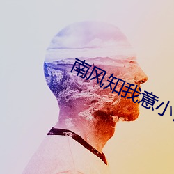 南风知我意小说 （倾家败产）