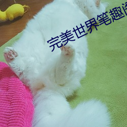 凯时|AG(AsiaGaming)优质运营商