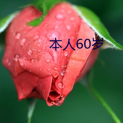 本人60岁 （主路）