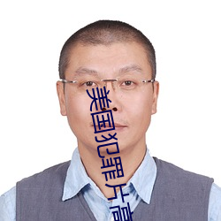 美国犯罪片高(高)分电影(影)
