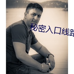 秘(秘)密入口线路(路)6