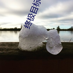 终极目标字幕下载 （丑史）