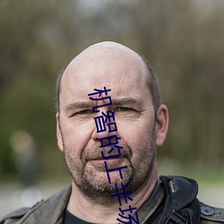 机智的上半场在线观看