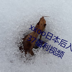 xxoo日(rì)本后入式动(dòng)态图 福(fú)利屯麻辣烫 37福利(lì)视频