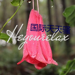 国际天天骚 （剥落）