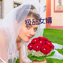 极(極)品女婿(婿)