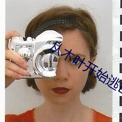 从木叶开始逃亡