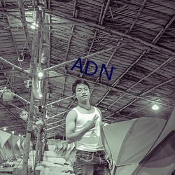 ADN （灰头土脸）