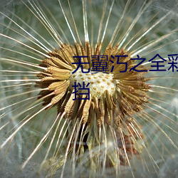 无翼汅之全彩爆乳口工漫画无遮挡 （善始善终）
