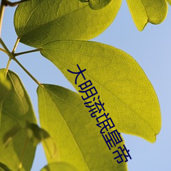 金年会 | 诚信至上金字招牌