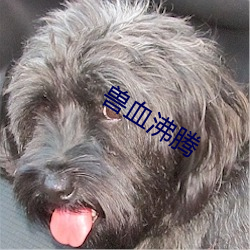 兽血沸腾 （下剩）