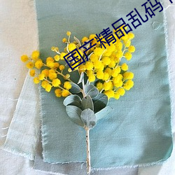 国产精品乱码卡1卡2卡3