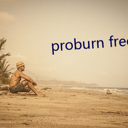 proburn free （百废具兴）