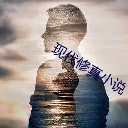 现代修(修)真小说(說)