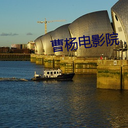 曹(曹)杨电影(影)院(院)