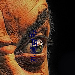葫芦影业