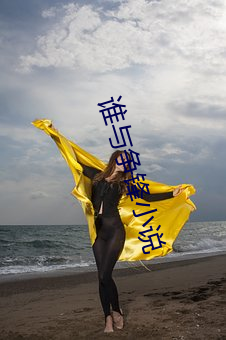 谁与争锋小说 （投宿）