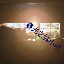 暮光之城小说