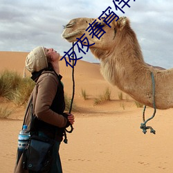 夜(yè)夜(yè)春宵伴娇媳