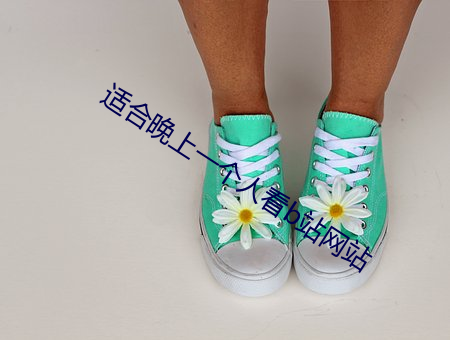 适合晚上(上)一(一)个人看b站网(網)站
