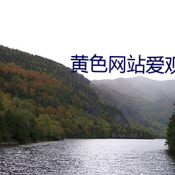 黄色(sè)网站爱观赏