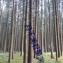 月千瀾君墨淵全文免費閱讀