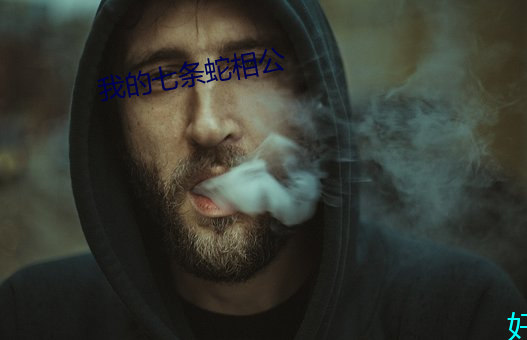 我的七條蛇相公