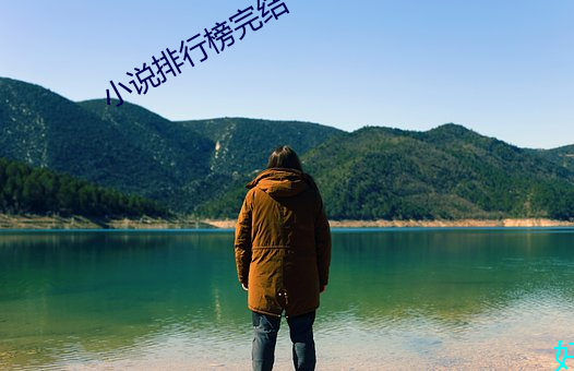 小说排行榜完结 （倒果为因）