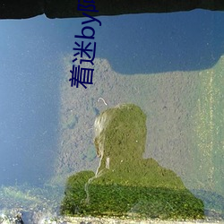金年会 | 诚信至上金字招牌